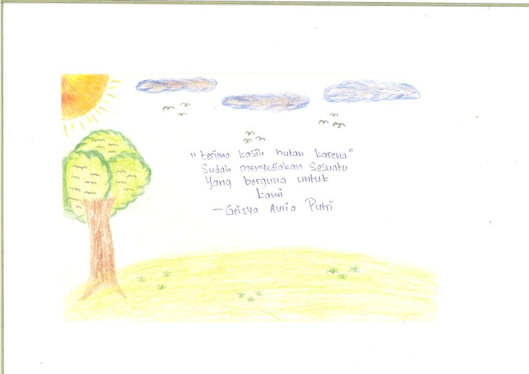A gratitude for the forest