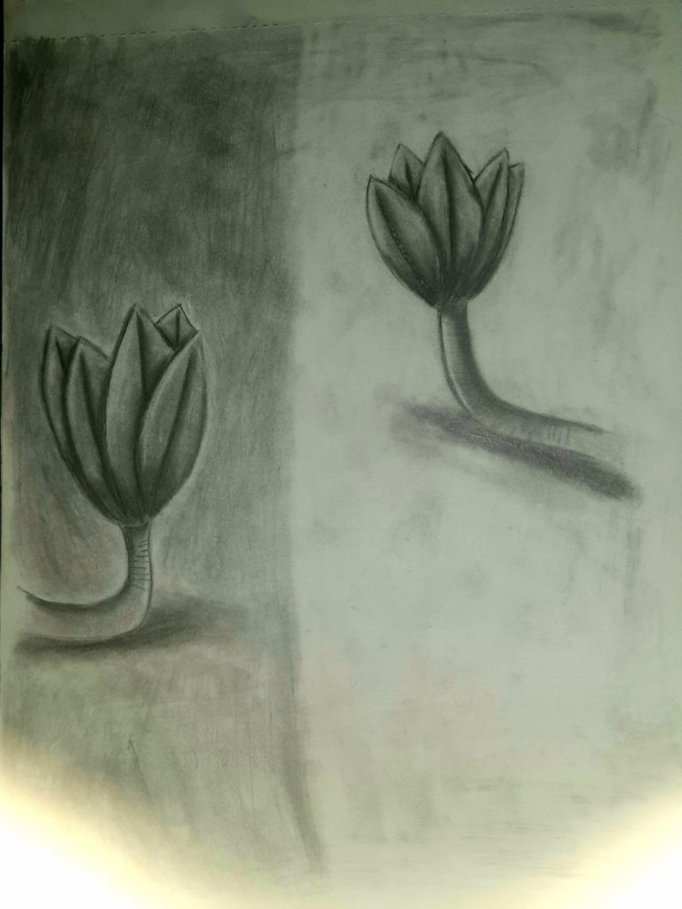 The serpent flower fell in love