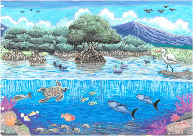 A Pledge for the Mangroves