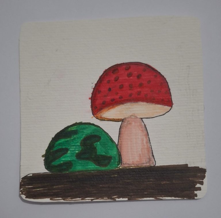 Yummy Store, Garden Mushroom, Gunung di malam hari, Pantai