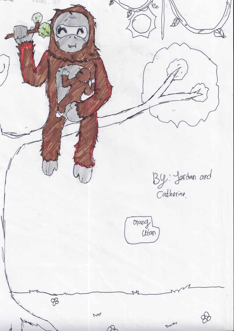 Orang Utan di Hutan